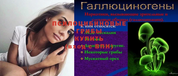крисы Переславль-Залесский