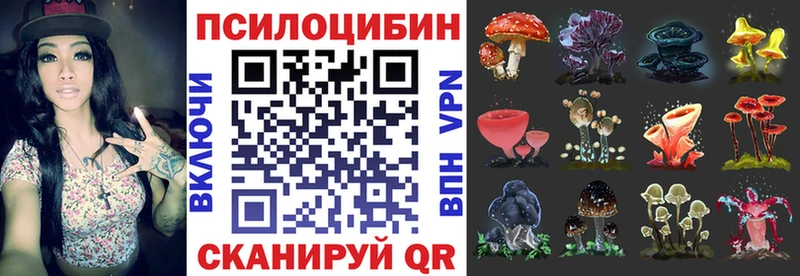 наркота  ссылка на мегу зеркало  Галлюциногенные грибы Psilocybine cubensis  Мураши 